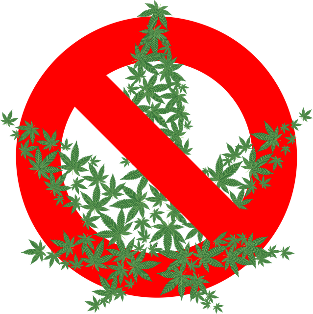 No Marikhuana (639x640), Png Download