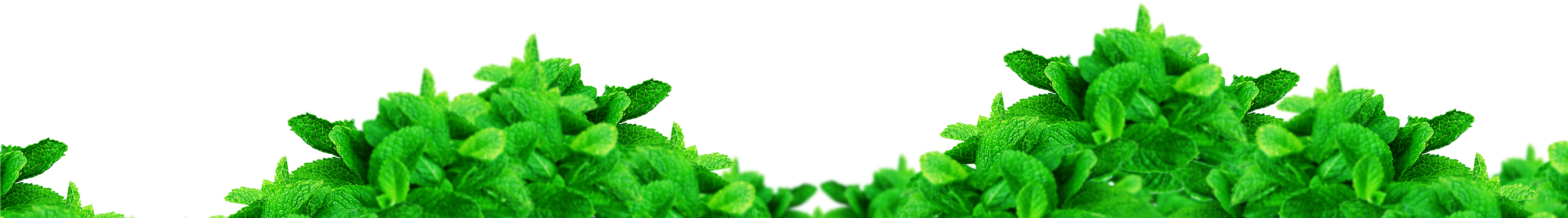 Spearmint (5450x1530), Png Download