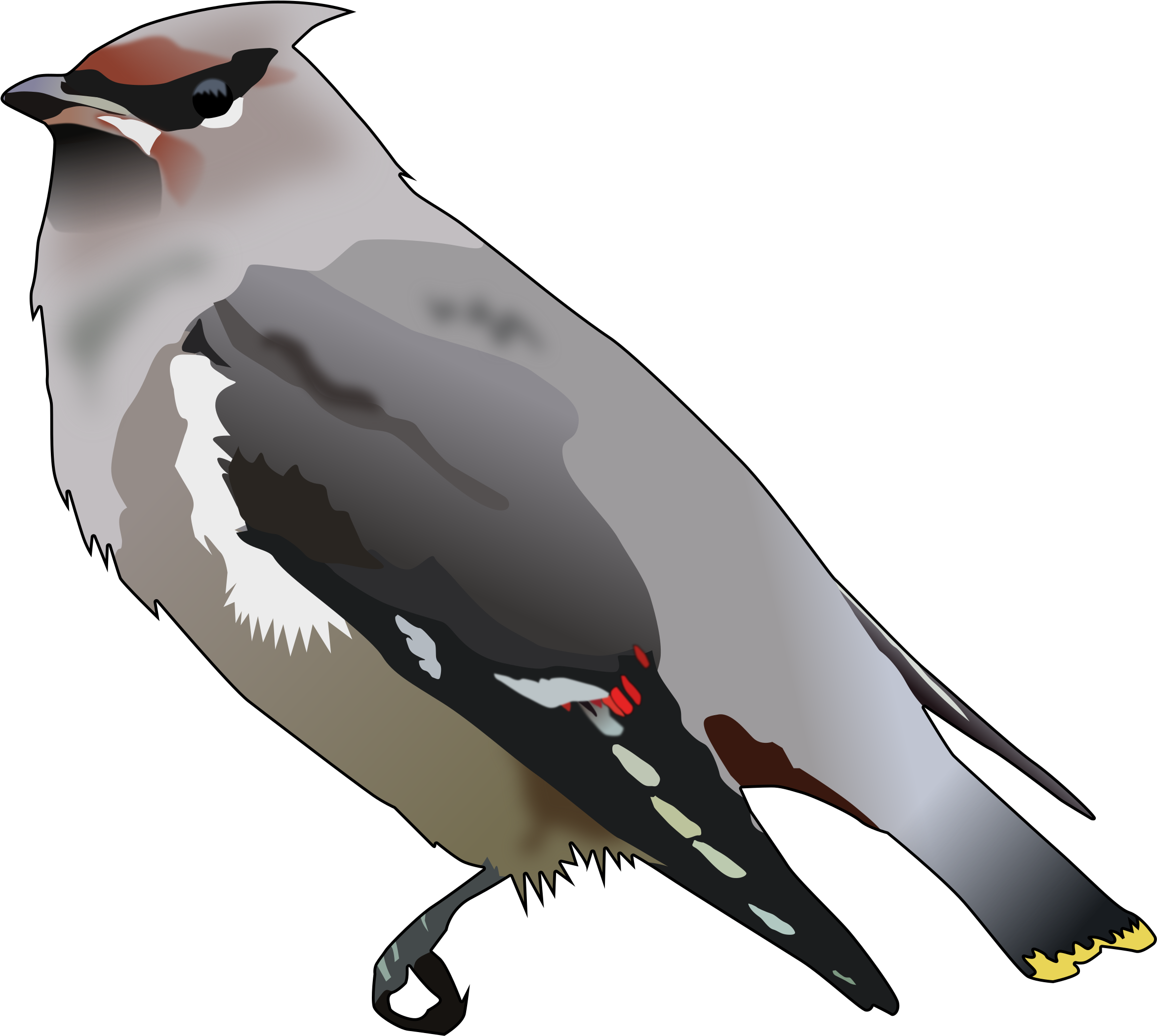 Big Image - Bohemian Waxwing Png (2400x2156), Png Download