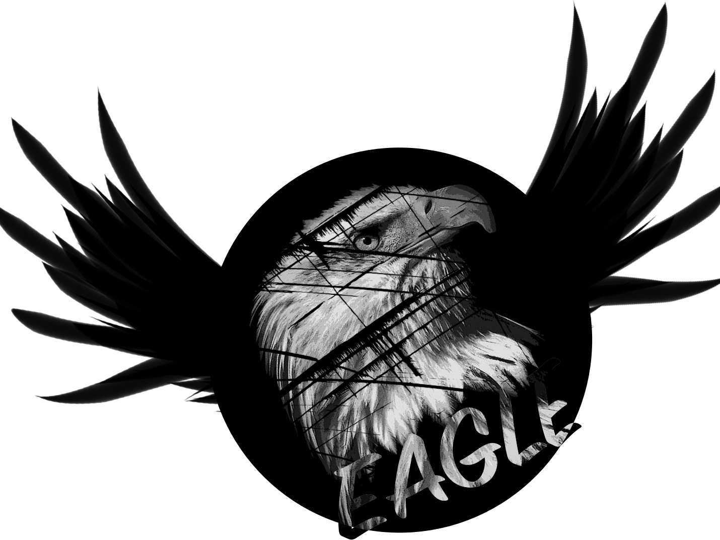 Icon Logo Flat Combine Clear Drawing Black White Adobe - Black And White Painted Eagle (1430x1073), Png Download