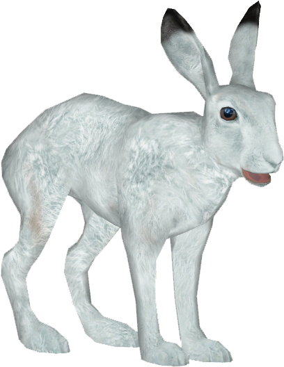 Arctic Hare - Arctic Hare Png (527x527), Png Download