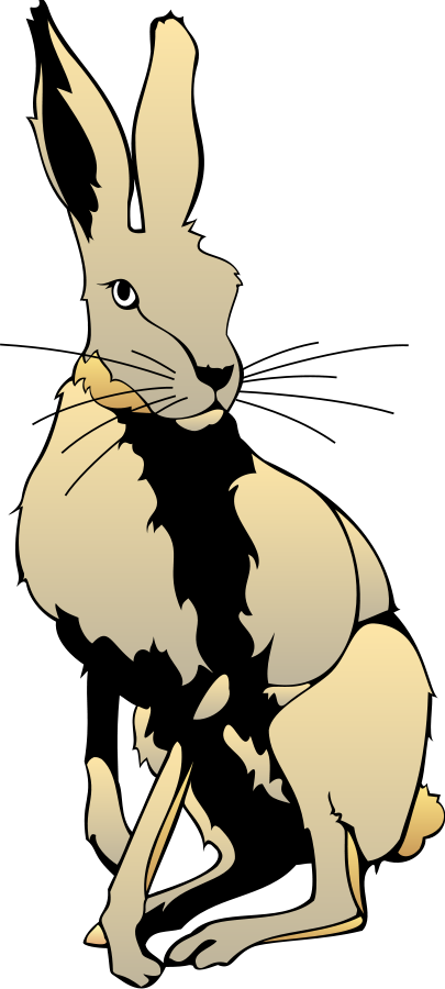 How To Set Use Hare Clipart - Hare Clipart (405x900), Png Download