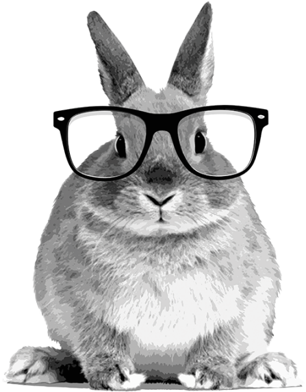 The Story Of The Hare Who Lost His Spectacles British - Rabbit Front (600x600), Png Download