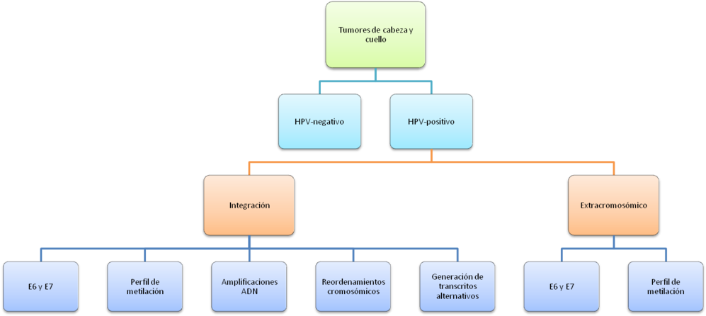Mecanismos Del Virus Para La Inducción Del Proceso - Computer File (1024x696), Png Download