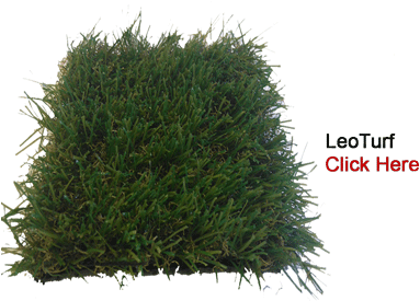 Leoturf-cutout - Lodgepole Pine (579x292), Png Download