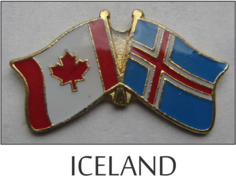 Flag Lapel Pins - Emblem (480x480), Png Download