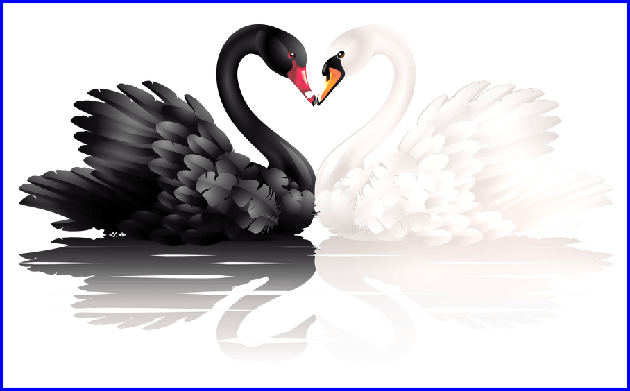 The Best White And Black With Heart Shape Png Clipart - Swan Png (908x564), Png Download