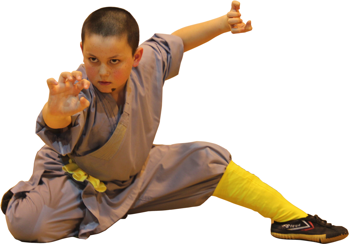 Toby Chen - Shaolin Kung Fu Png (1200x855), Png Download