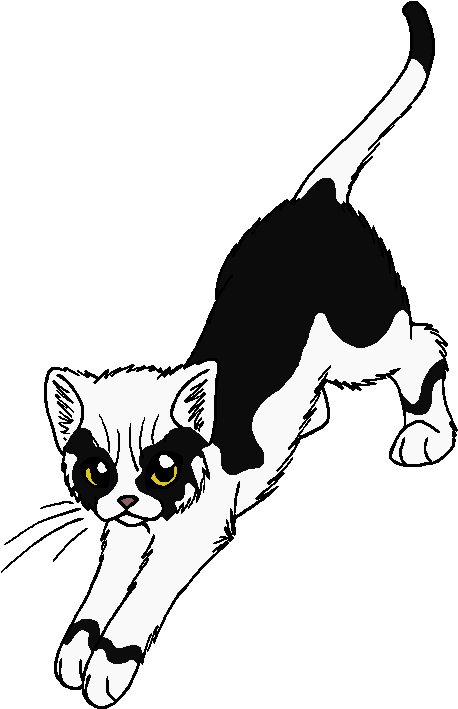 Black Ear - Warrior Cats Black Ear (561x789), Png Download