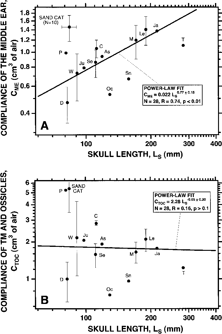 Acoustic Compliances Of The Sand Cat's Middle Ear Compared - Diagram (731x1100), Png Download
