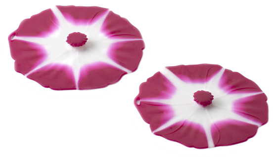 Morning Glory (600x600), Png Download