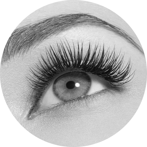 Eye - Eyelash Extensions (500x500), Png Download