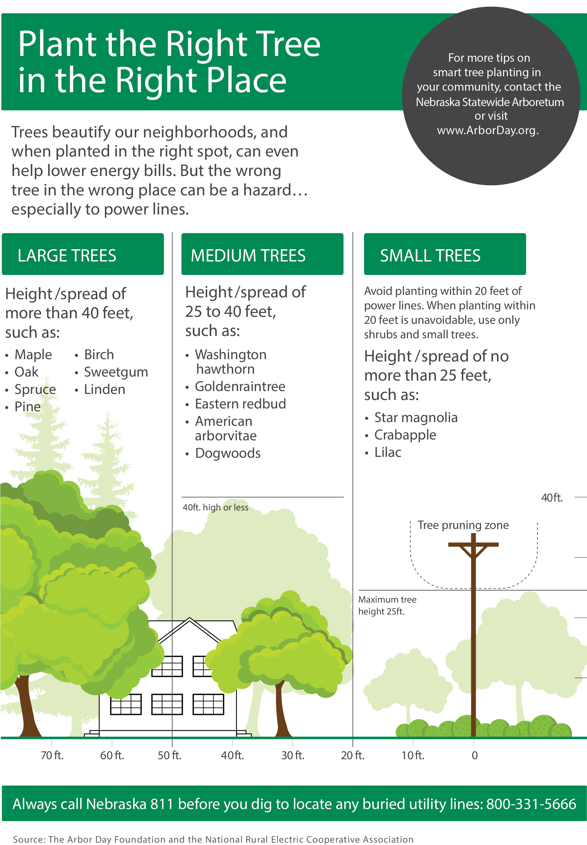 Nreca And Arbor Day Foundation Graphic That Shows Safe - Tree (2026x2934), Png Download