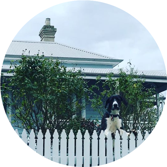 Wishing Well - Portable Network Graphics (591x541), Png Download