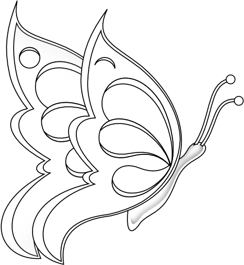 Butterfly 19 Black White Line Art 555px - Butterfly Sitting On A Flower Drawings (555x574), Png Download