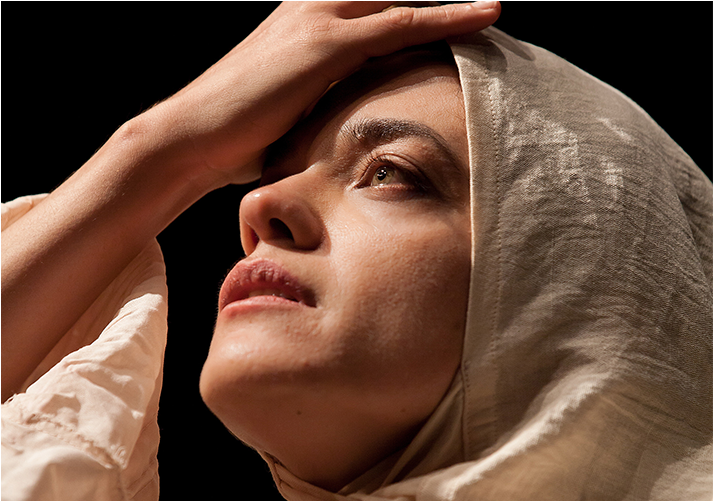 Banner A Lingua Em Pedaços Cred Laercio Luz - Portable Network Graphics (1423x500), Png Download