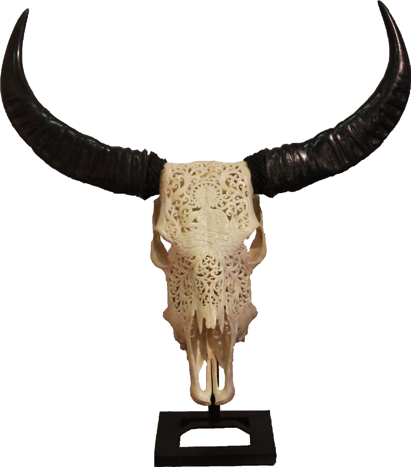 White Buffalo Head - White (1737x1950), Png Download