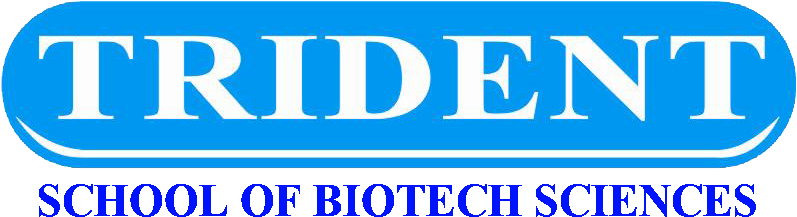 Trident Academy Of Technology Logo (799x230), Png Download