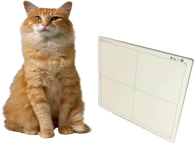 The Revolutionary Feline Dr Wizard Flat Panel System - Rumfo Pet Products Cats Supplies Self-grooming Brush (770x796), Png Download