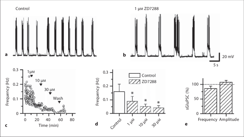 Effect Of Zd7288 On Spontaneous Burst Activity In Mature - Monochrome (850x478), Png Download
