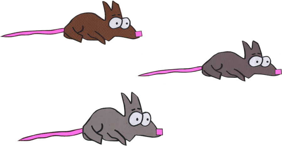 Rat (960x540), Png Download