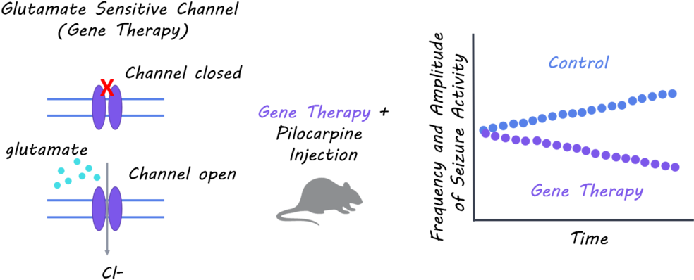 Gene1800 - Therapy (1000x429), Png Download
