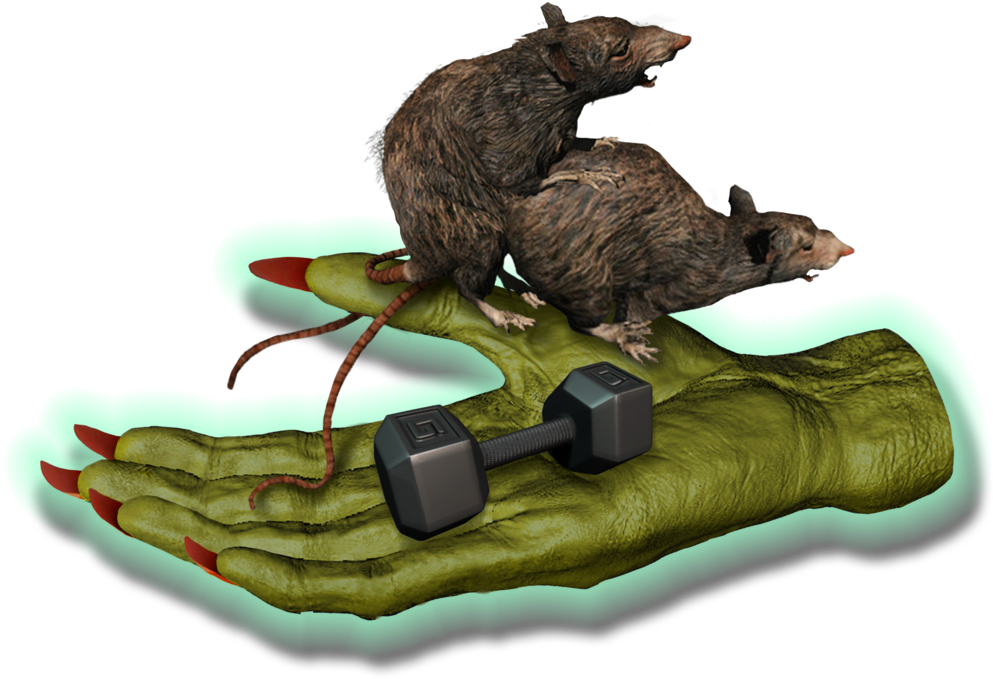 Big Fitness Goblin Rats - Punxsutawney Phil (1000x683), Png Download
