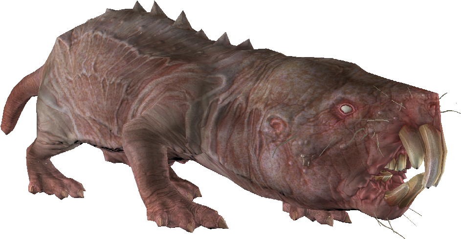 Mole Rat - Portable Network Graphics (1091x571), Png Download