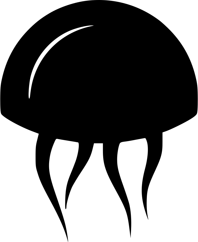 Jelly Fish - (802x980), Png Download