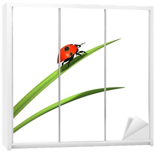 Ladybird On A Blade Of Grass Wardrobe Sticker • Pixers® - Cardinal (400x400), Png Download