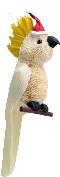 95 Previous Next - Sulphur-crested Cockatoo (450x750), Png Download
