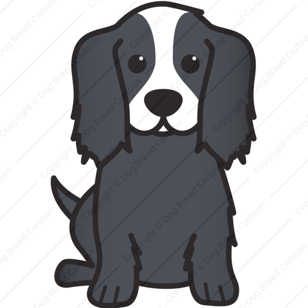 Cavalier King Charles Spaniel - Dog (600x600), Png Download