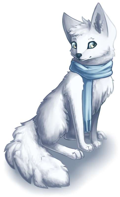 Arctic Fox (494x800), Png Download
