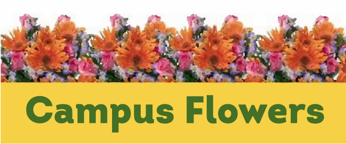 Tempe, Az Florist - Campus Flowers (700x400), Png Download