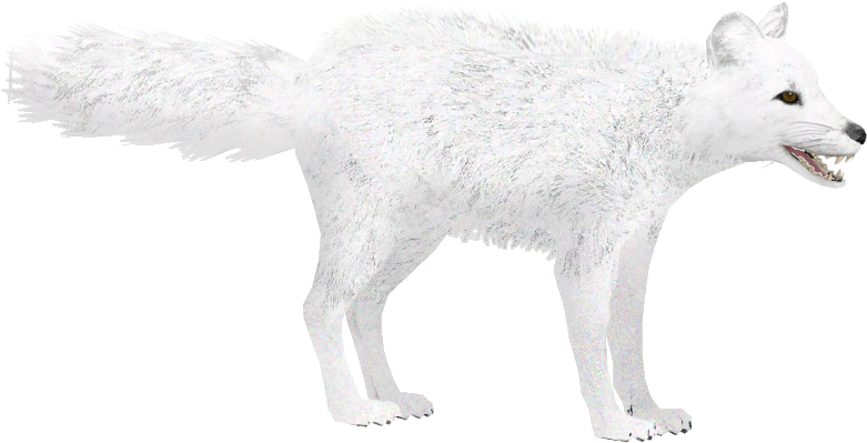 Arctic Fox Winter - Arctic Fox Zt2 (780x780), Png Download