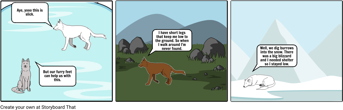 Arctic Fox (1164x385), Png Download