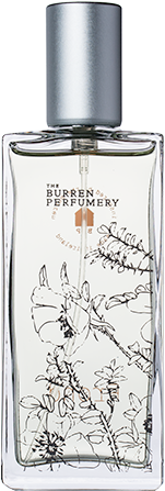 Frond - Christmas Day (300x450), Png Download