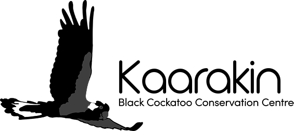 Kaarakin Black Cockatoo Conservation Centre (600x269), Png Download