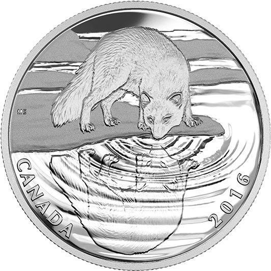 Reflections Of Wildlife - 2016 Fine Silver 10 Dollar Coin - Reflections (570x570), Png Download