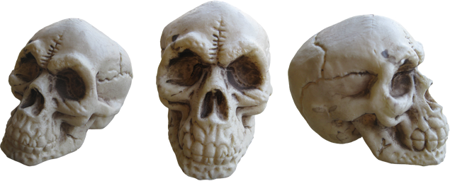 Skull-093 - Portable Network Graphics (635x256), Png Download