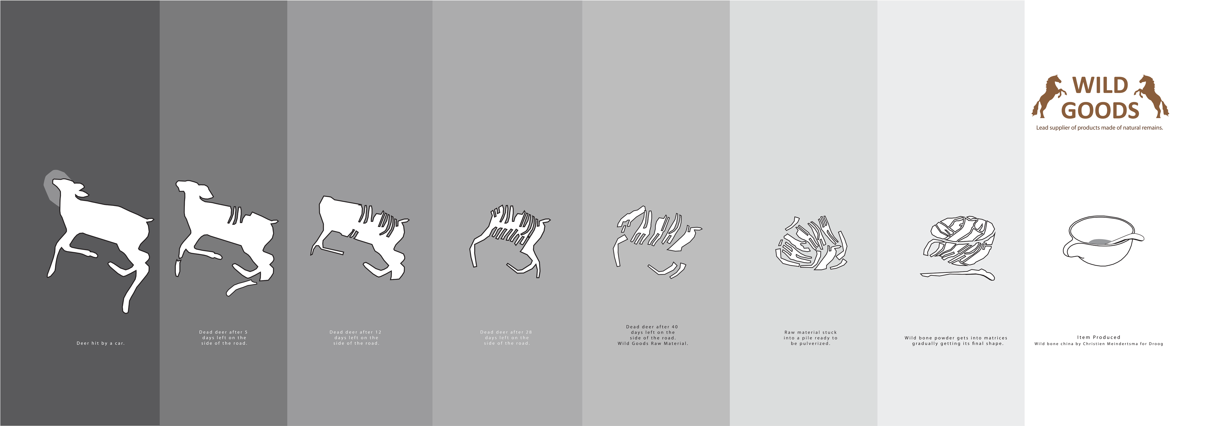 Download Images - Jaguar (4000x1538), Png Download