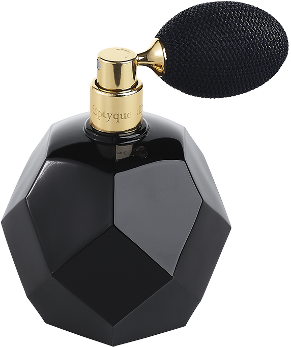 For Pumpkin Patch Visiting - Diptyque Essences Insensees (803x847), Png Download