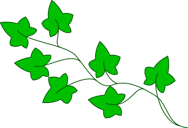 Ivy Vine Clip Art At Clker Com Vector Clip Art Online - Clip Art (600x410), Png Download