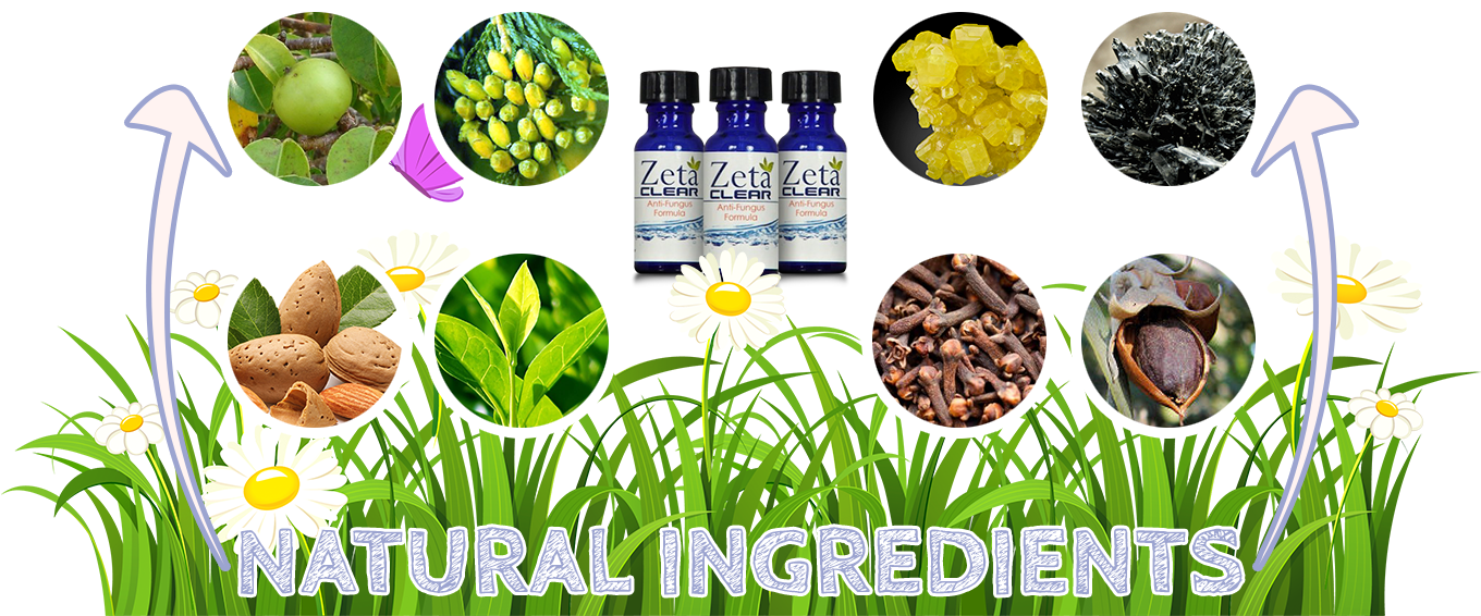 Zetaclear Ingredients - Jojoba Oil Organic-60ml (1359x585), Png Download