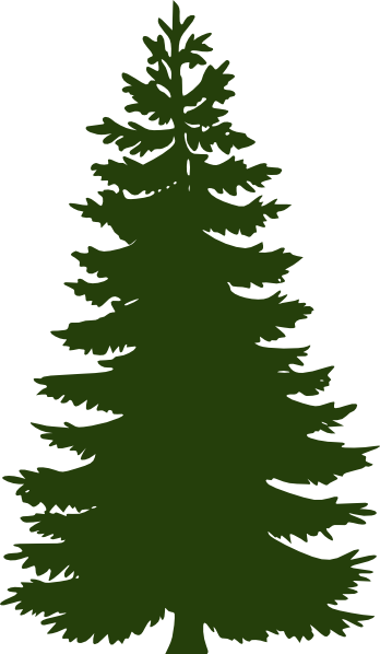 Dark Green Pine Tree - Pine Tree Vector Png (348x598), Png Download