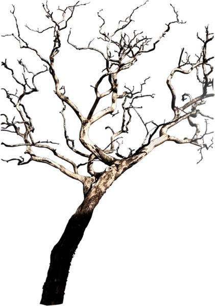 Share This Image - Tree (421x600), Png Download