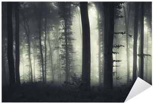 Evening Light In A Dark Misty Forest Sticker • Pixers® - Forest (400x400), Png Download