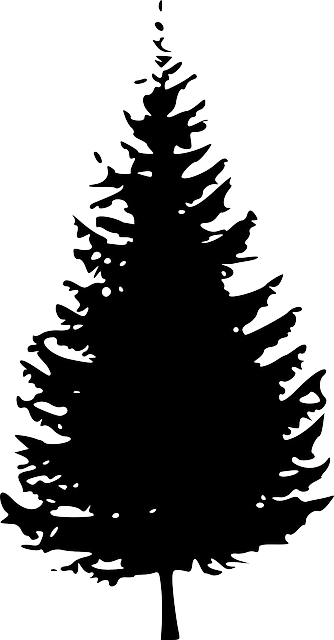 Dark Christmas Tree - Pine Tree Clipart Black And White (334x640), Png Download