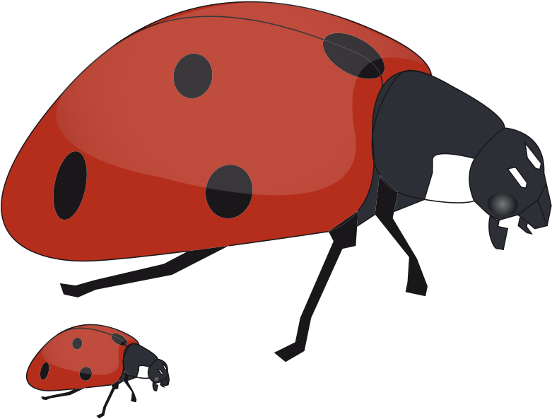 Fox Clipart Mommy - Mother And Baby Insect (800x609), Png Download
