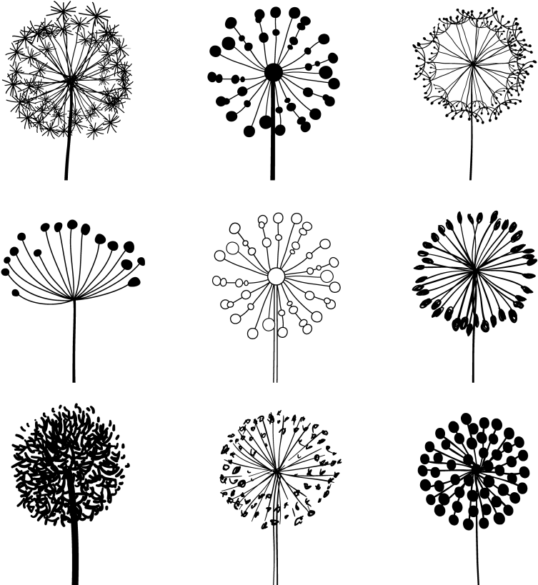 Dandelion Vector - Dandelion Vector Png (1024x850), Png Download